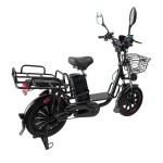 163.0 vacuum tires, red rim wheels, beach tires, Yilan Princess II rear dual shock absorption lithium battery electric bicycle